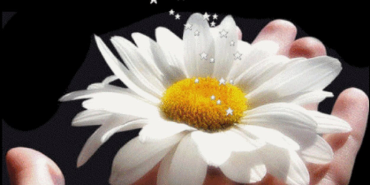 MezAbdullah's profile banner image