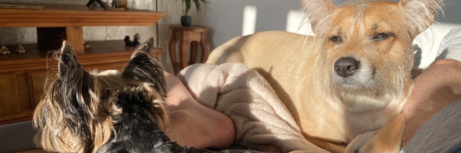 klaitonbee's profile banner image