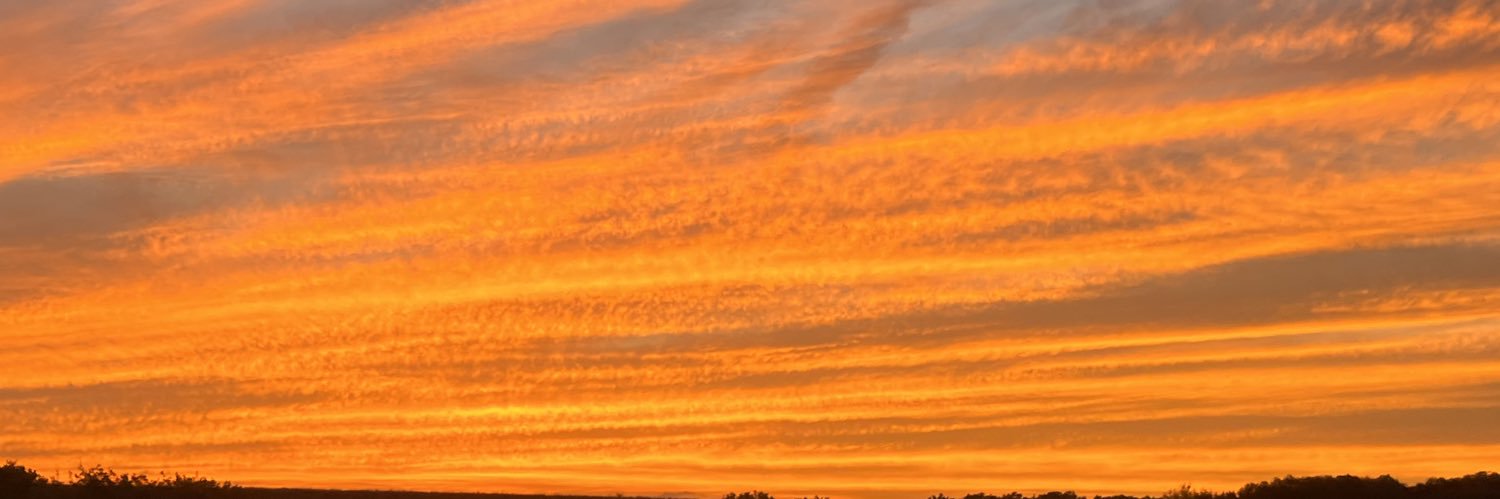 serenar0d's profile banner image