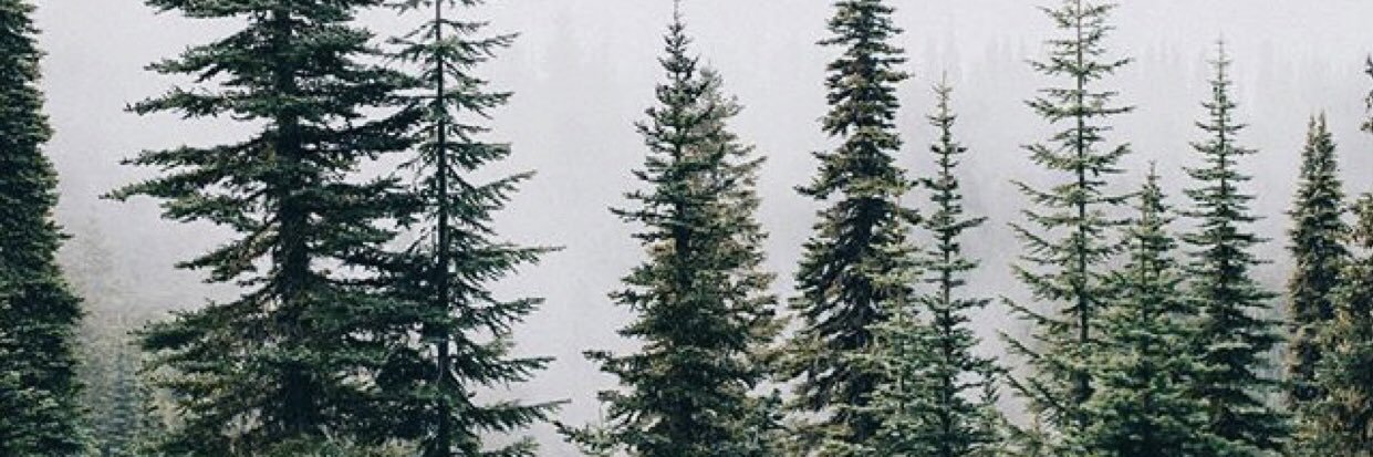 MrsJCLanda's profile banner image