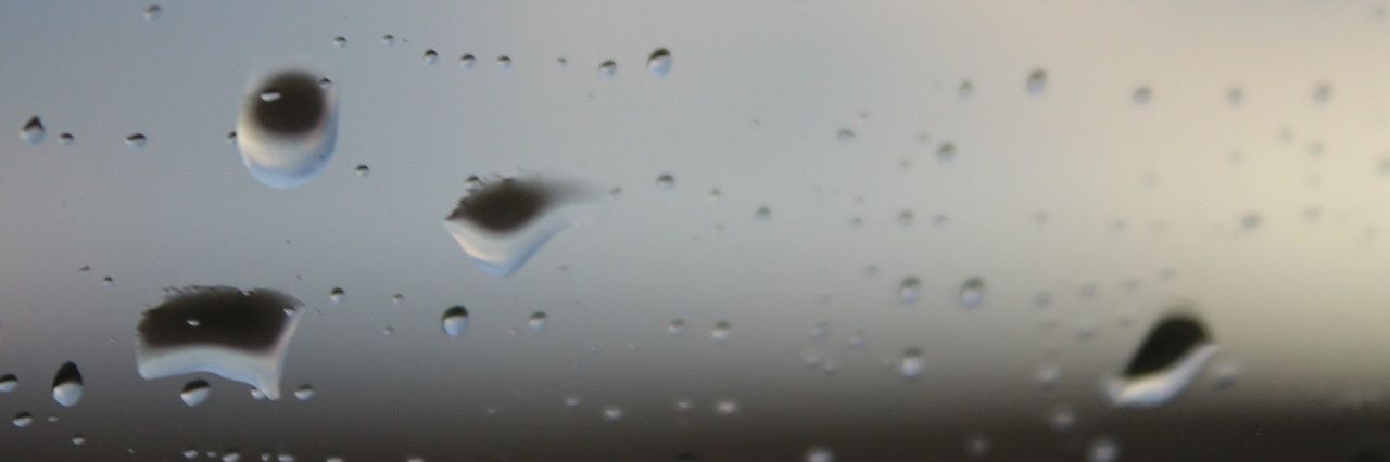 zamajolobe's profile banner image