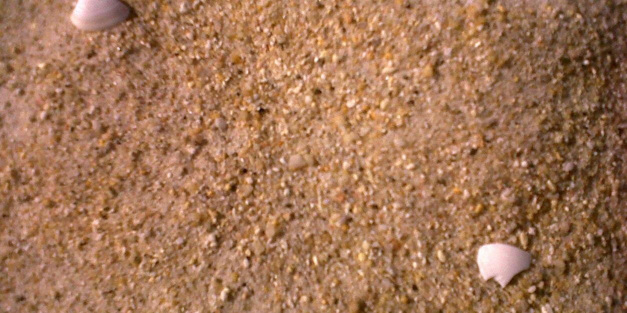 JaviArancheta's profile banner image