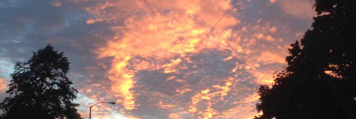 camillaalo's profile banner image