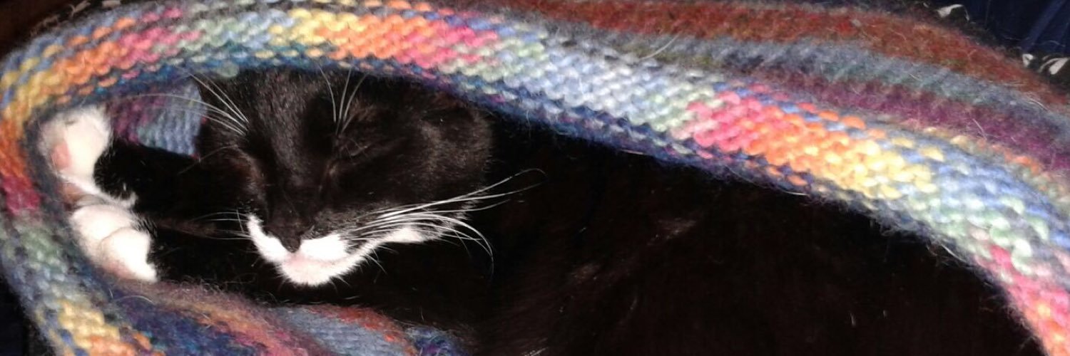 Strix__'s profile banner image