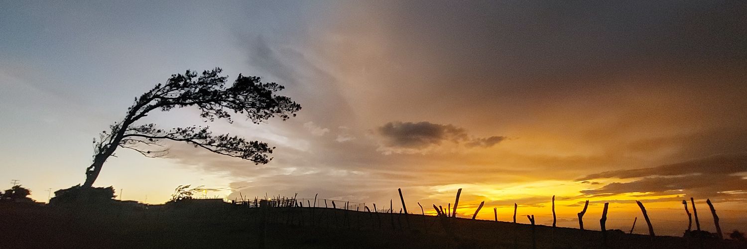 _ortizber's profile banner image