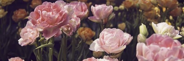 ً banner