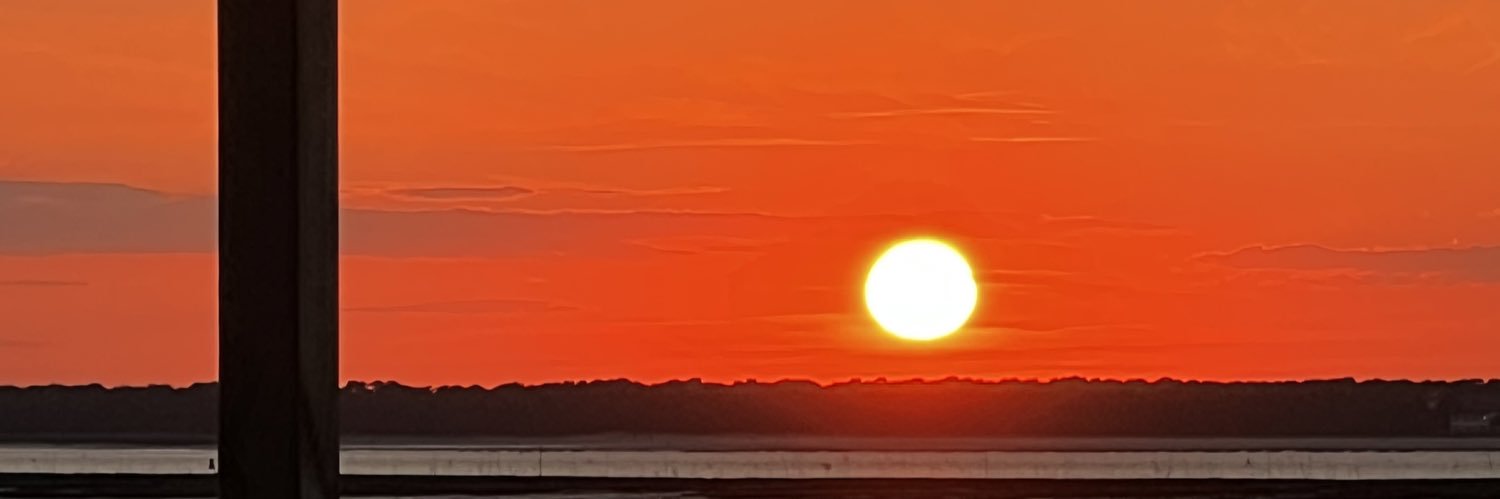 Océan 🌊🌼 banner