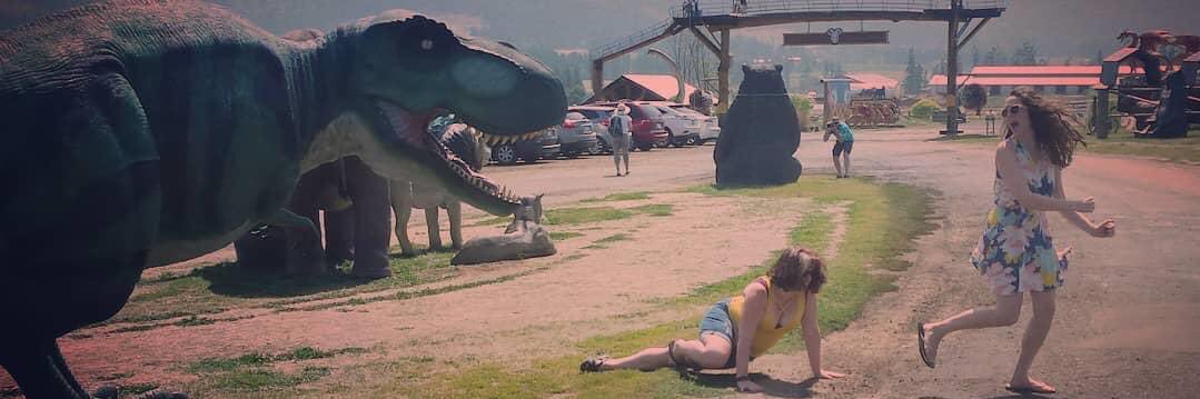 Dr. Kimberly Plomp banner