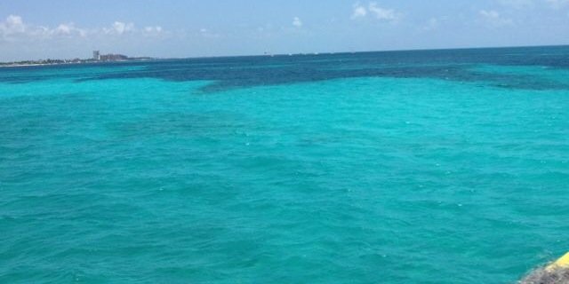 alekjim's profile banner image
