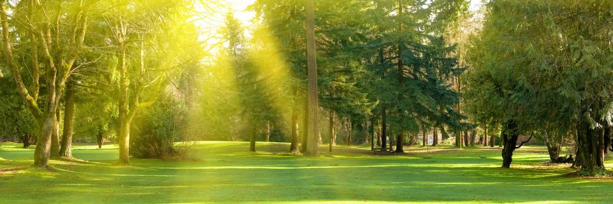 GoSaveNature's profile banner image