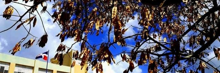 tonypicha's profile banner image