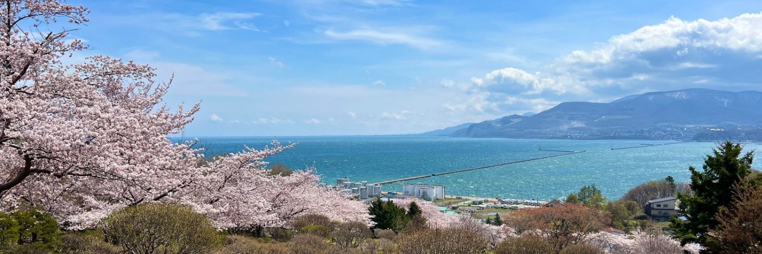 💃🏼💃🏼Alpaca🕺🏼🕺🏼 banner