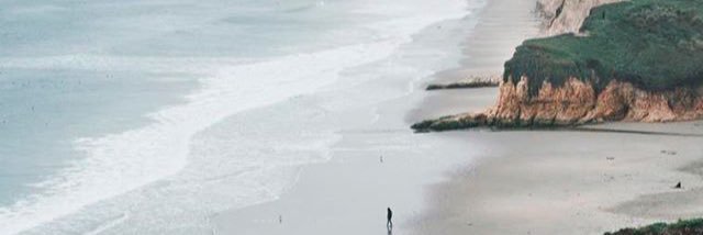 esra_gursel's profile banner image