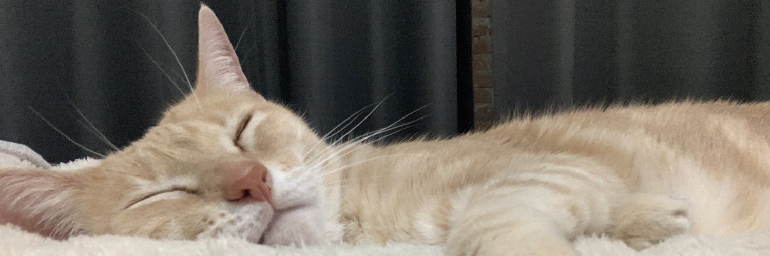 ivfarisco's profile banner image