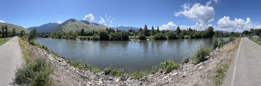 Nicholas Gaetano banner