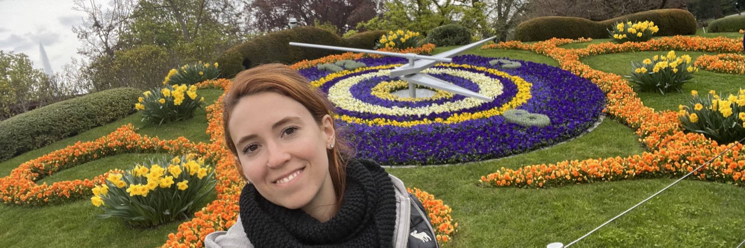 AniTrindade's profile banner image