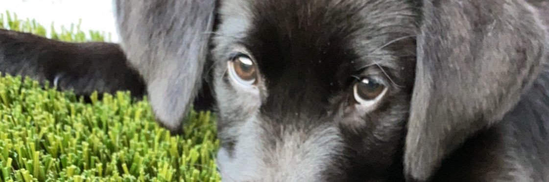 MAKENZIECURTIS's profile banner image