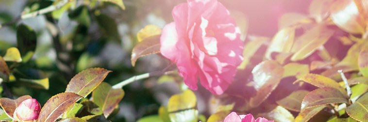 bcntrtr's profile banner image