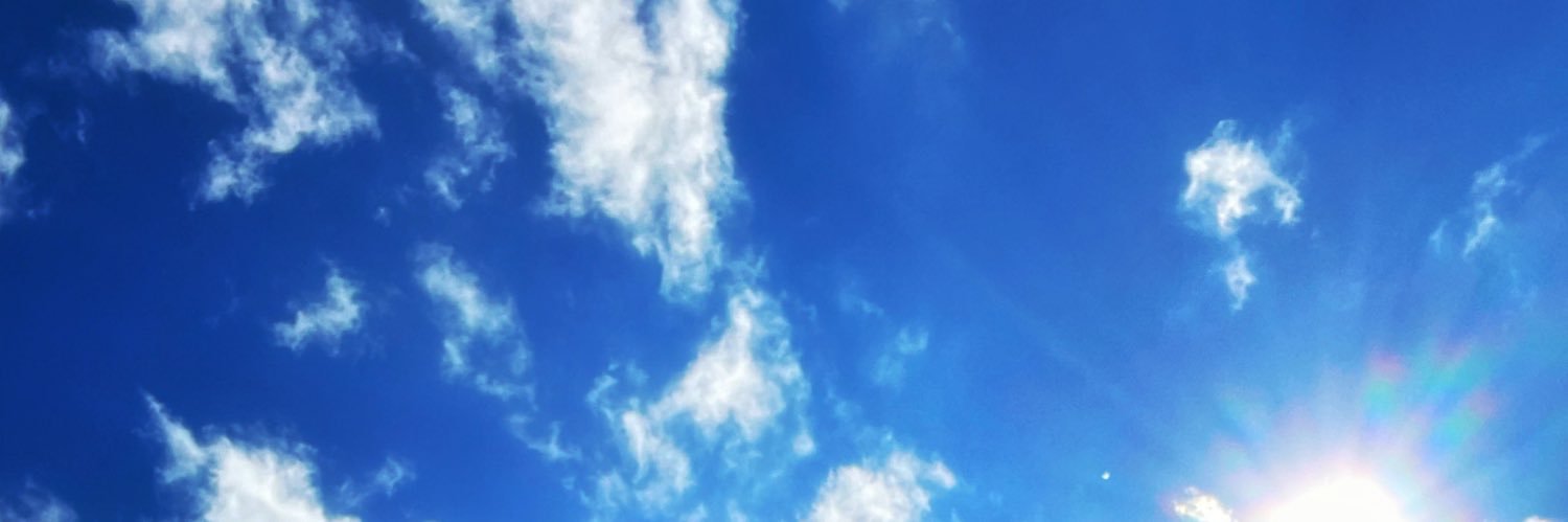 NBSFilms banner