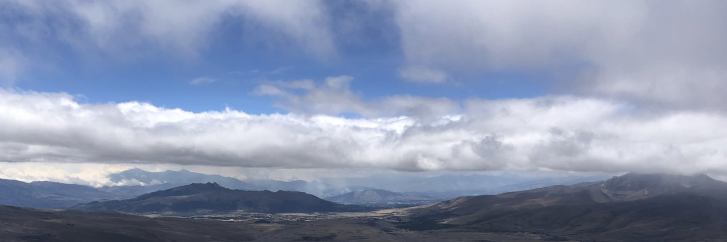 michellebowenn's profile banner image