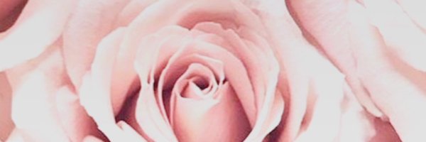 Angalise_JN ❤️🌺 Profile Banner