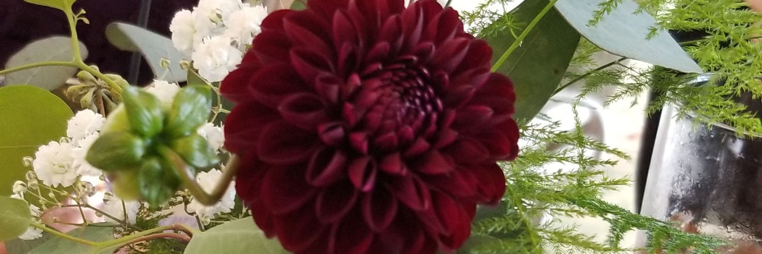ABigPinkHat's profile banner image