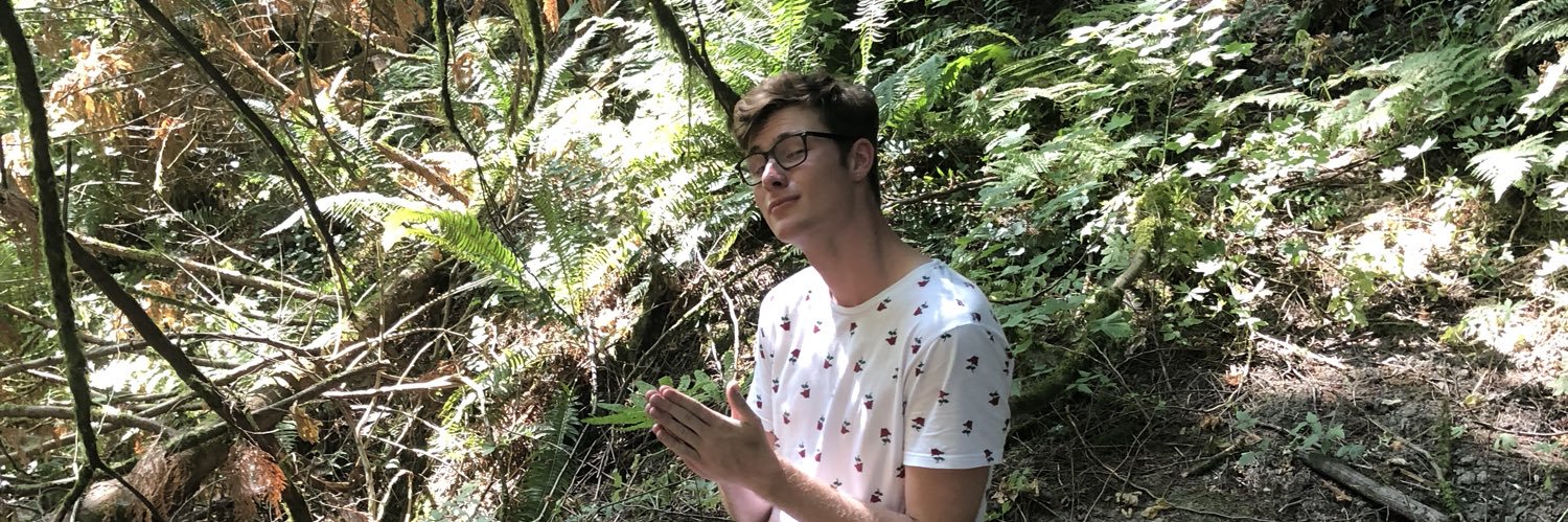 BoostWolf's profile banner image