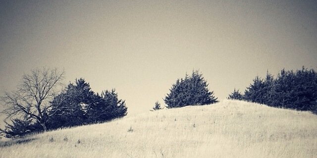 tillinghast's profile banner image