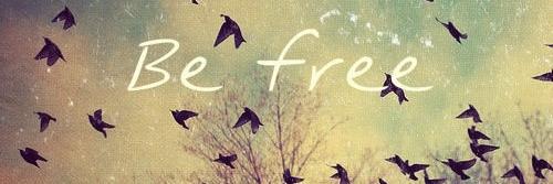 agos_navarrete's profile banner image