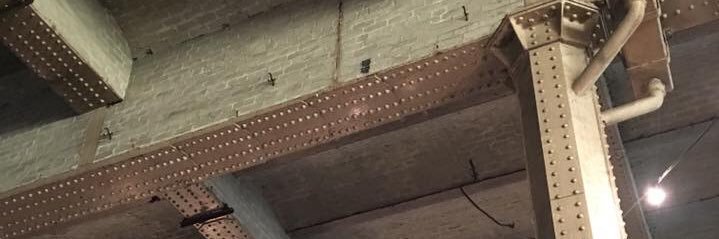 Charlotte Rourke banner