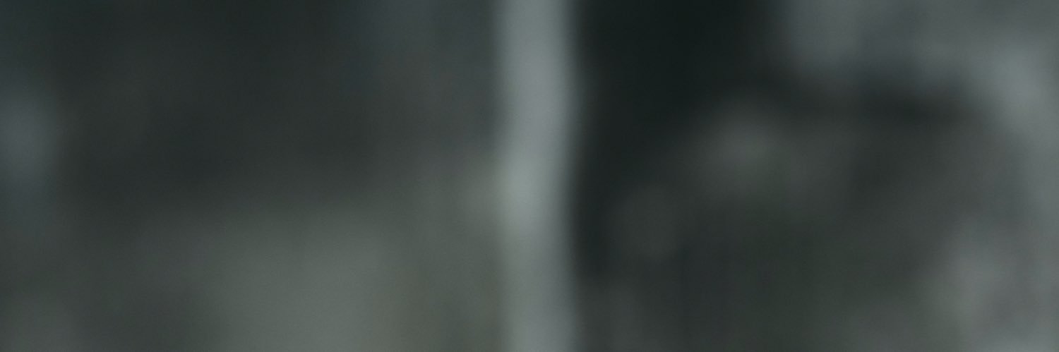 HarmvanTwillert's profile banner image