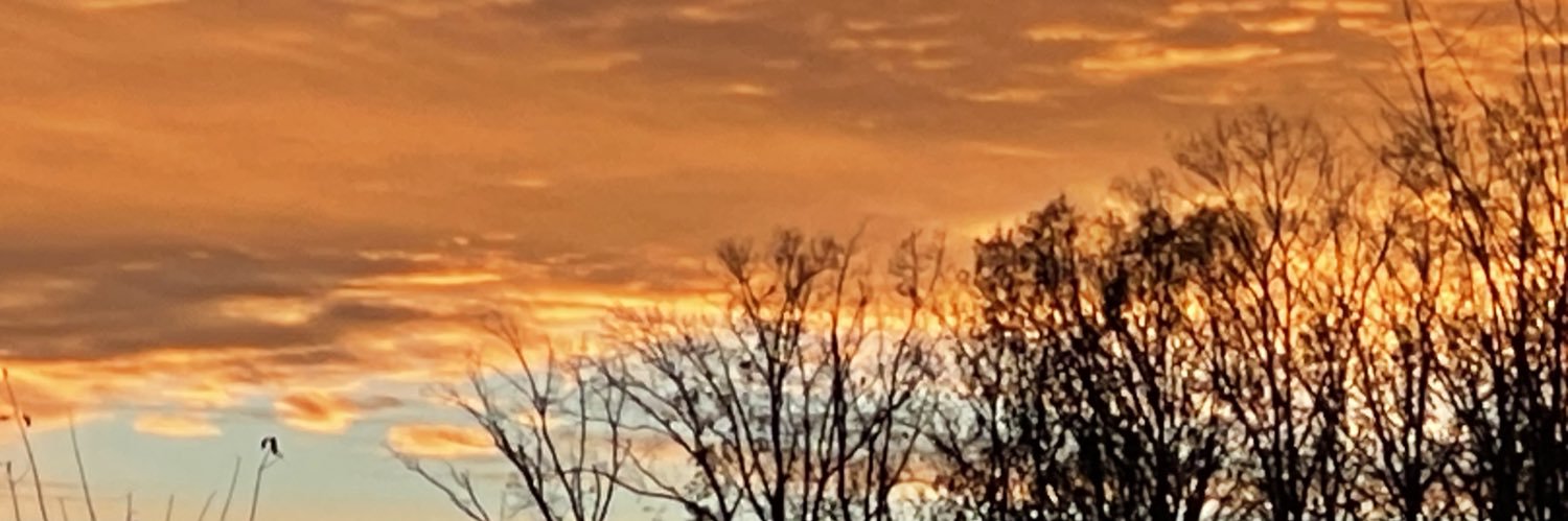 Non-Fiction Itchin' banner