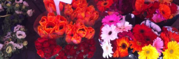 LanzafameM Profile Banner