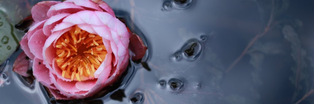 DigioNL's profile banner image