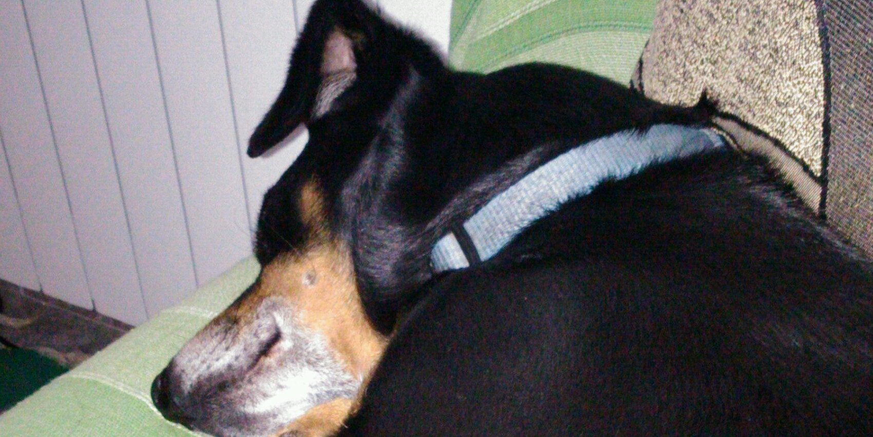 mmmascleta's profile banner image