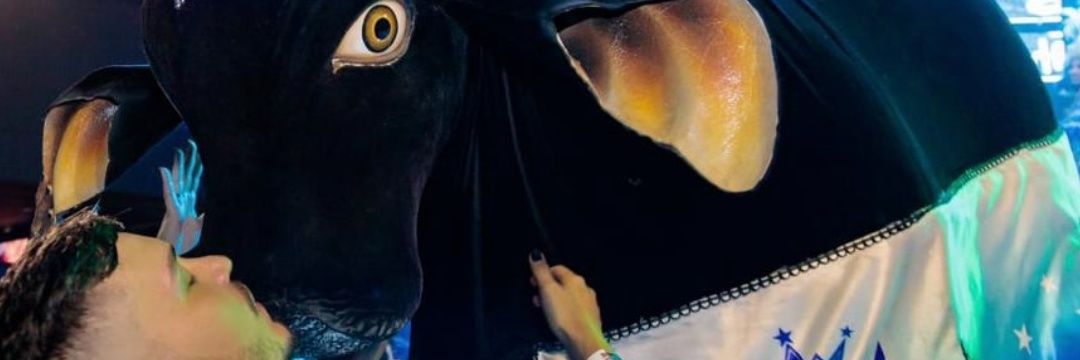 Felps banner