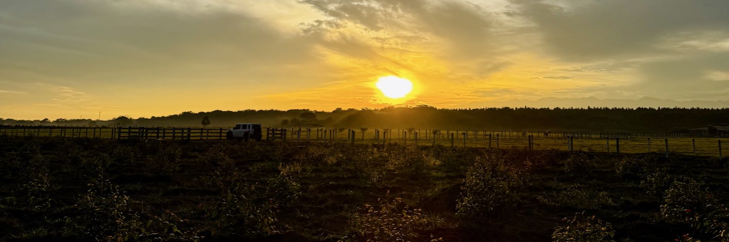 VMFEL26's profile banner image