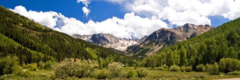 AILA Colorado banner