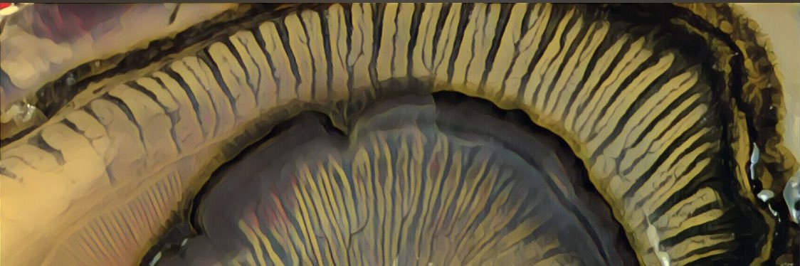 French Dexter banner