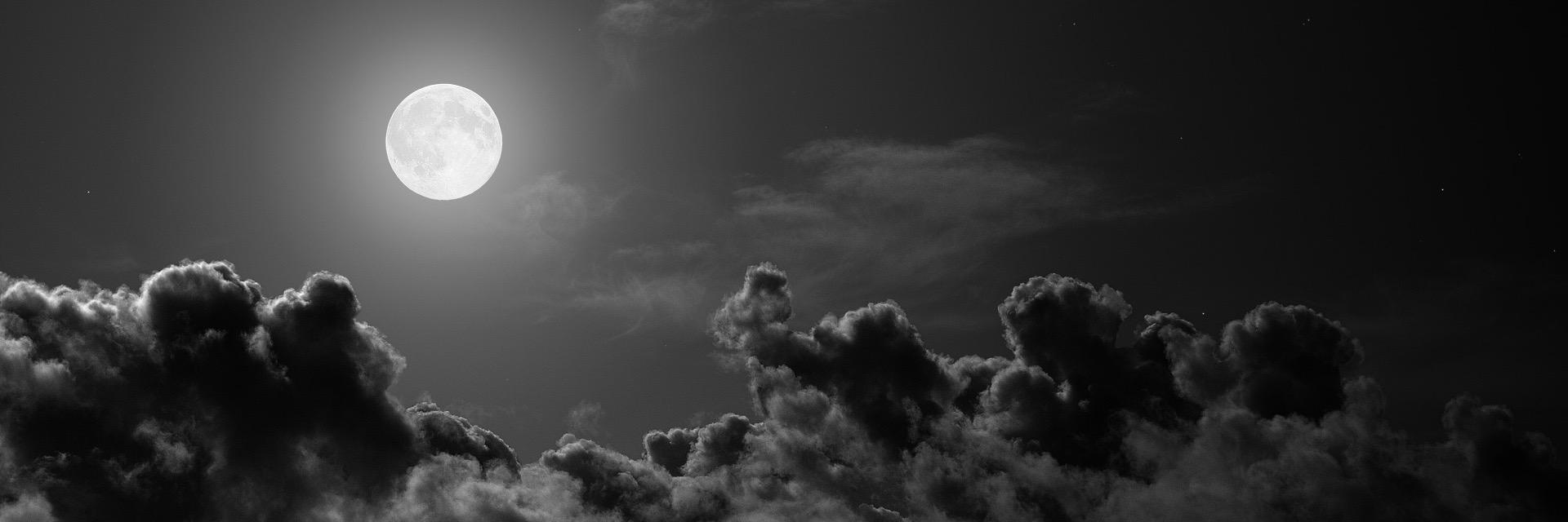 silversarahs's profile banner image