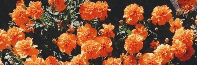 svndrr's profile banner image