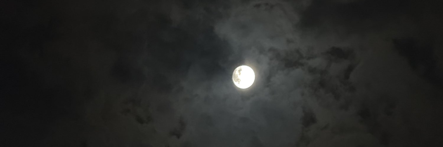 Tc1F's profile banner image