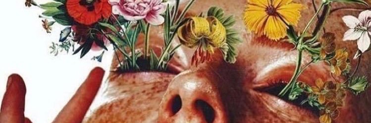 damadelfrenesi's profile banner image