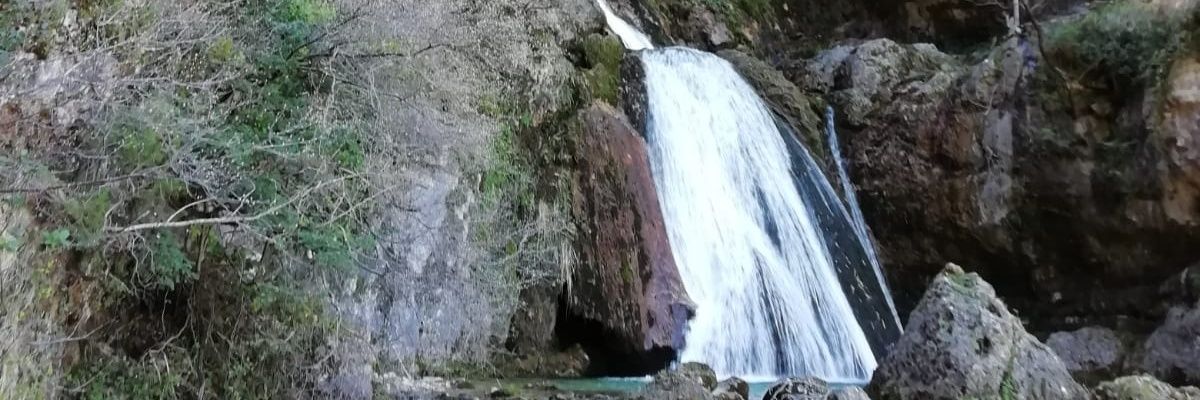 95FJGonzalez's profile banner image