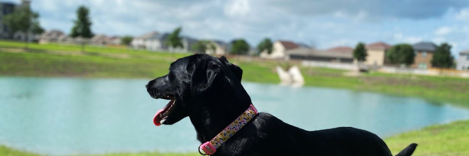 alexa_olivarez's profile banner image