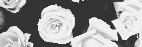 JuliaAdan's profile banner image