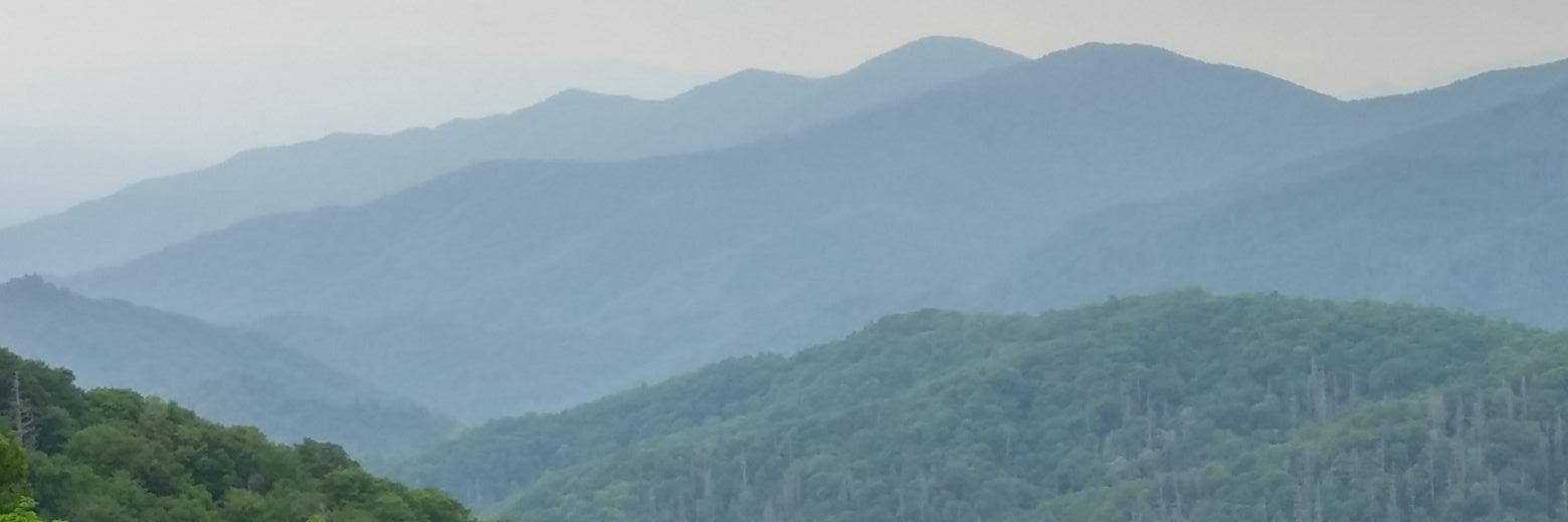 AprylRansom's profile banner image
