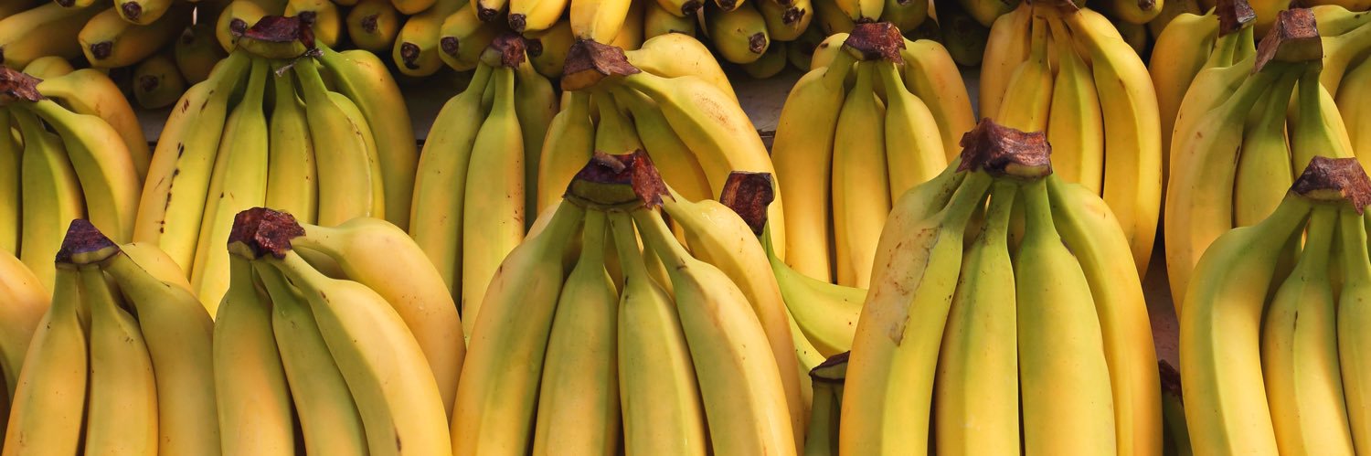 codewordbanana's profile banner image