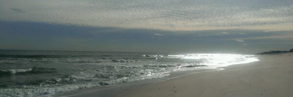 TayDrakeee Profile Banner