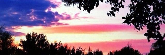 coachwommack's profile banner image